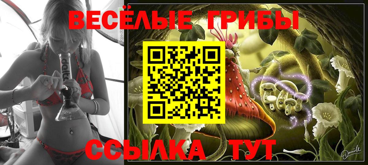Псилоцибиновые грибы Psilocybe  Вход с VPN  Юрга 