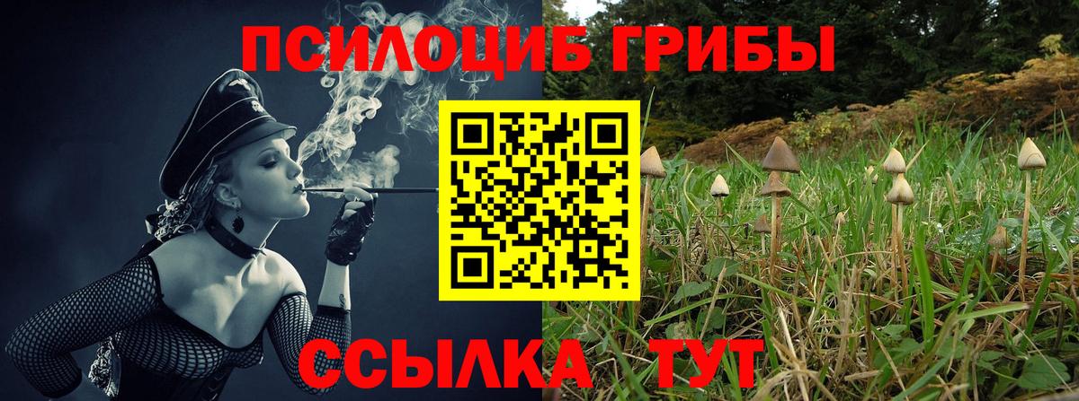 Псилоцибиновые грибы мухоморы Юрга